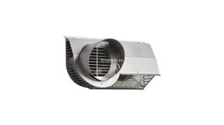 995-g5.jpg